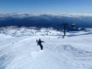 Snowbird slope