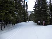 The cross-country trails lead idyllically through the surrounding forests.