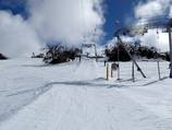 Mitchell T-Bar