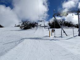 Mitchell T-Bar