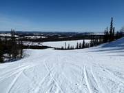 Slope No. 4