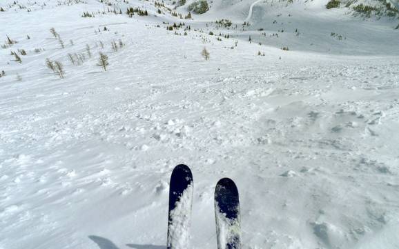 Ski resorts for advanced skiers and freeriding Clark Range – Advanced skiers, freeriders Castle Mountain