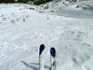 Ski resorts for advanced skiers and freeriding Alberta – Advanced skiers, freeriders Castle Mountain