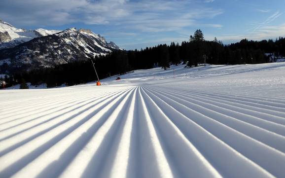 Slope preparation Toggenburg – Slope preparation Wildhaus – Gamserrugg (Toggenburg)