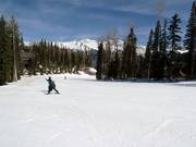Easy slope Bridges