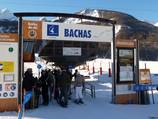 Bachas