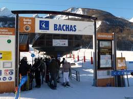 Bachas