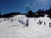 Easy slope Silverthorne