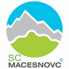 Macesnovc Rateče