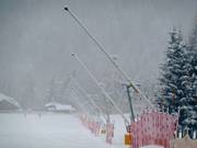 Snow lances in San Vito di Cadore