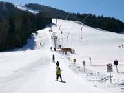 Tellerlift - J-bar
