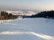 View from the mountain station onto the slope