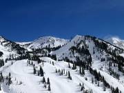 Peruvian Gulch