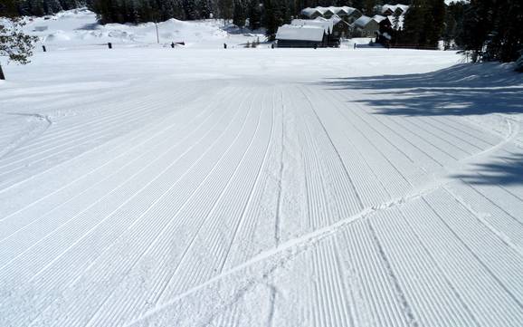 Slope preparation Clark Range – Slope preparation Castle Mountain