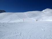 Sunny slope