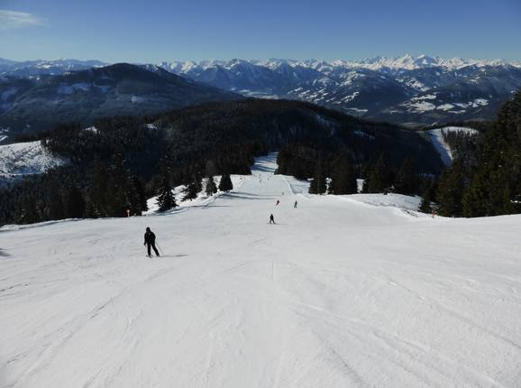 Panorama Run No. 1