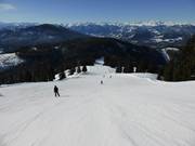 Panorama Run No. 1