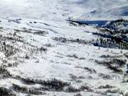 View from the ski area onto the cross-country trails