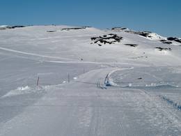 Hovden