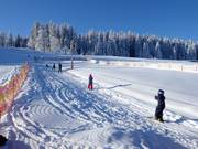 Rope tow baby lift