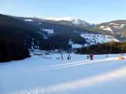 Slopes and Javor drag lifts