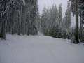 Slopes Wurmberg – Braunlage