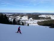 Slope at the Oedberglift