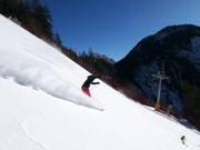 Black slope Piculin
