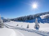 Panoramic hiking trail with ViaVital and Weisser Oase!
