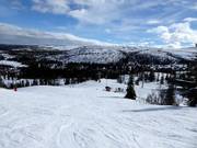 View over the Vemdalsskalet ski area