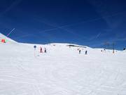 Easy slopes at the Hasenmulden lifts