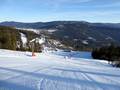 Slopes Arber