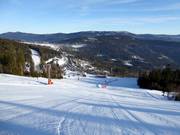 I - World Cup Run