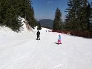 Easy slope 6 in the ski area