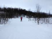 Cross-country trails in Tänndalsvallen