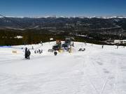 Horseshoe Bowl T-Bar - T-bar