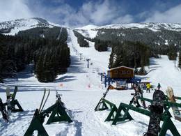 Ski resort Castle Mountain
