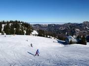 Easy Alm descent