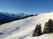 Chamossaire Sud slope (Villars)