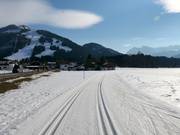 Cross-country trails in Kaiserwinkl at the Hochkössen ski area