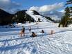Ski resorts for beginners in Metro Vancouver – Beginners Grouse Mountain