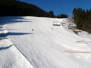Marmottes downhill run in Les Carroz
