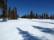 Slope No. 14