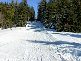 Gipfellift Todtnauberg