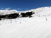 Beginner area Grau Roig