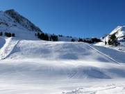 Slope 13 Alpenrosen