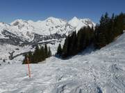 Difficult slope Surenboden
