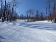 Beautiful runs through Canadian forests