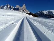 Cross-country trails at Rolle Pass
