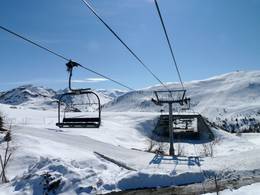 Alpauris